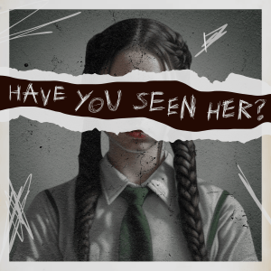 An image of Brooklyn Nicholson with text covering her face: "HAVE YOU SEEN HER?"